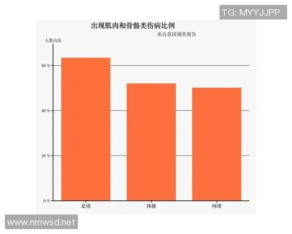 伤病对运动员职业生涯的影响与康复路径研究