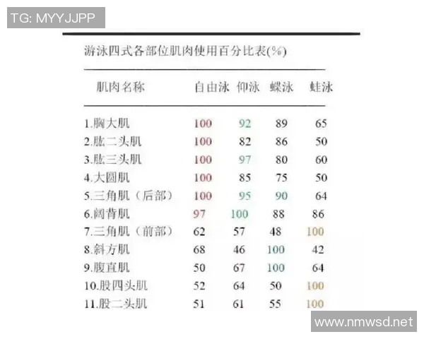 四种常见泳姿的技巧解析与训练要点详解