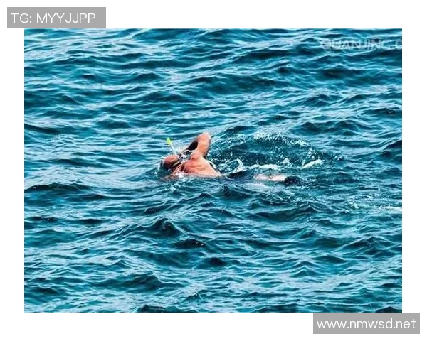 蝶泳技术解析与训练方法探索：提升速度与技巧的关键要素