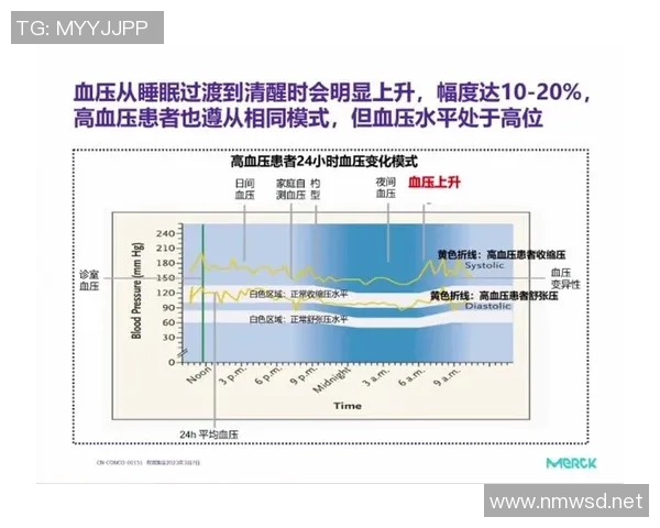 北京乒乓球队力量表现的数据分析与训练策略探讨