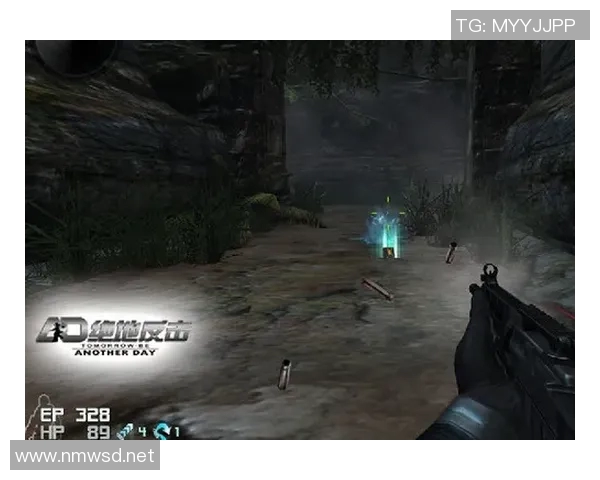 V5战队反击之路的成败得失解析与未来展望