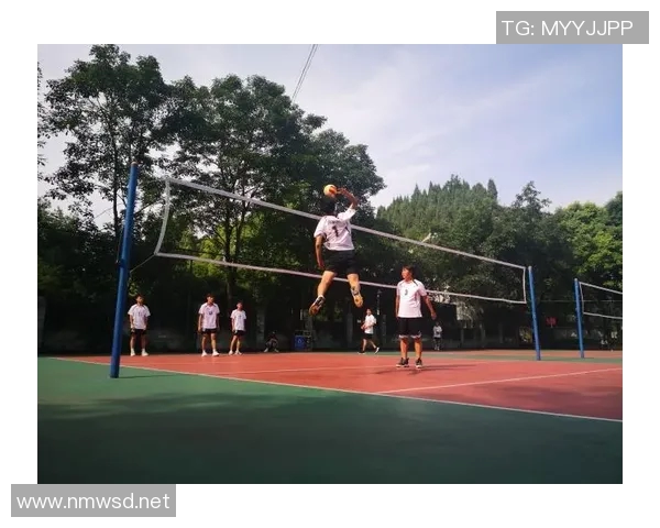 重庆排球队荣登全国排球技术排行榜第一名引发热议