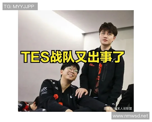 深入分析TES战队的防反策略与战术运用技巧