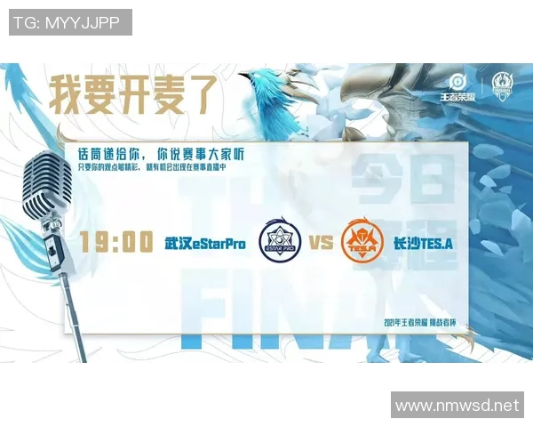 TES在挑战者杯中的比赛经验分析与表现评估