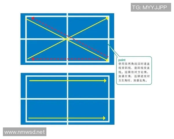 广州乒乓球队战术解析：深入探讨盯防体系的应用与效果