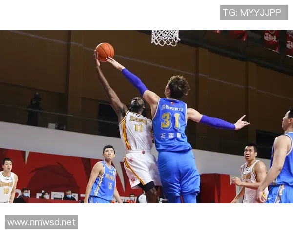 福建CBA球队全解析:历史沿革与现役阵容介绍