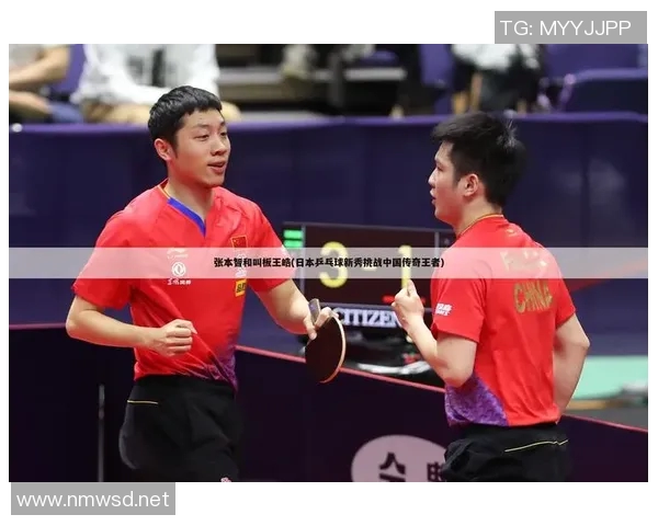乒乓球传奇揭秘：深入了解上海乒乓球队的比赛策略与经验分享
